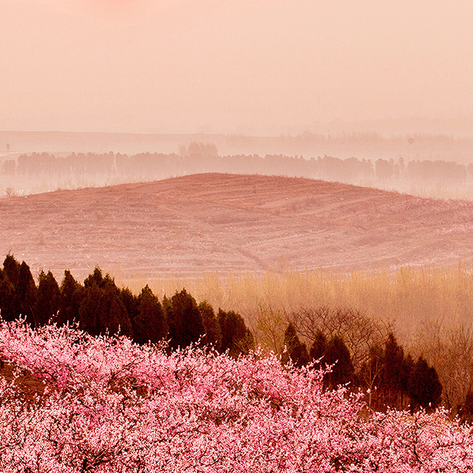 ��ȦΪ�Ķ���ׯ԰