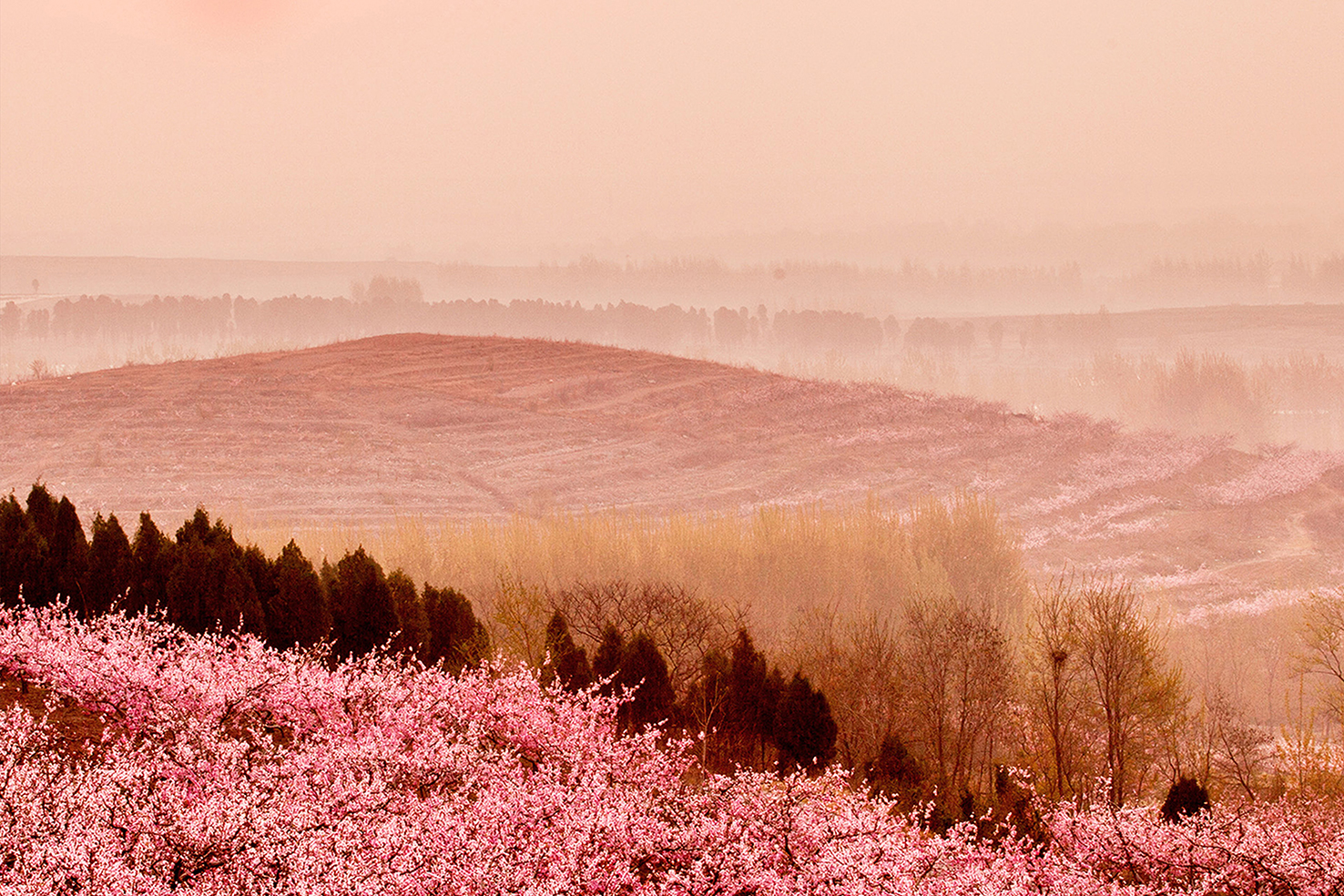 ��Ȧ- ��ȦΪ�Ķ���