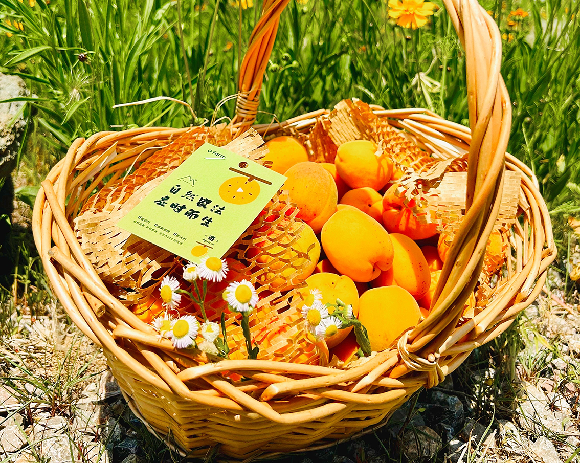 ��Ȧ- ��ȦΪ�Ķ���